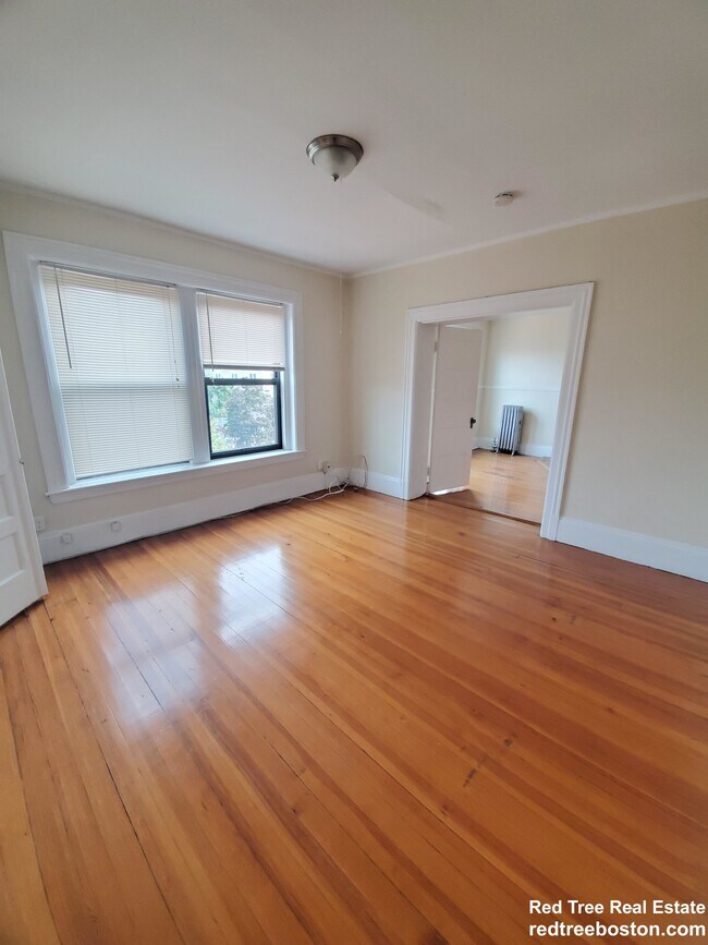 230 Harvard St unit 3, Brookline, MA 02446 - photo 4