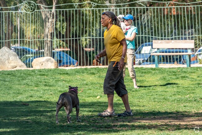 David H. Ready Palm Springs Dog Park welcomes all the furry friends.