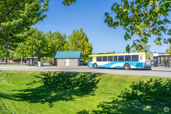 There is a small bus depot in the Town and Country neighborhood.