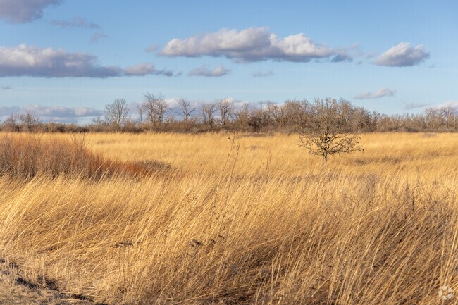 Rock Cut State Park is the largest state park in Illinois.