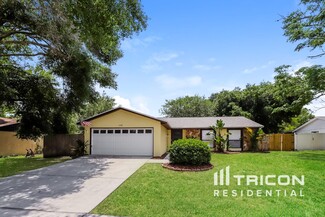 1238 Piney Branch Cir, Valrico, FL 33594