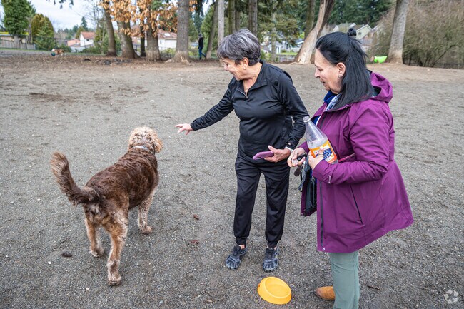 Morril Meadows Dog Park has plenty of space for local dogs to play around.