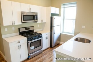 301-305-305 Dudley St Unit 1, Boston, MA 02119