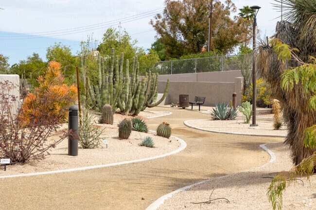 Native plants thrive in the arid climate of North Center at Brinton Desert Botanical Gardens.