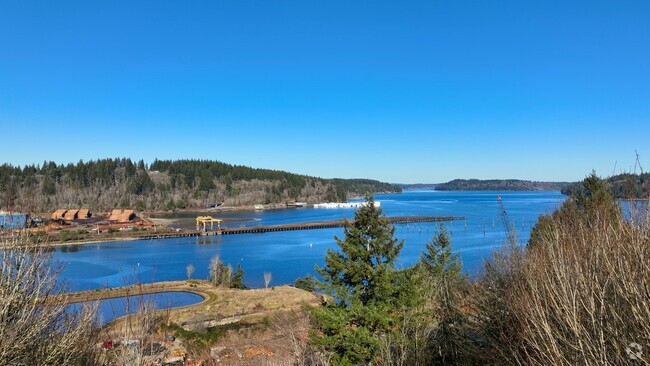 CP_Shelton_1004256_030525_P1_DQ_V1