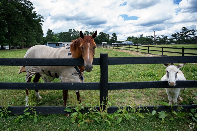 The West Durham neighborhood has many horse farms.