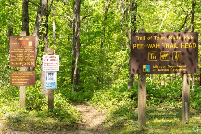 Hike forested paths on Peewah Trail in Trail of Tears State Park.