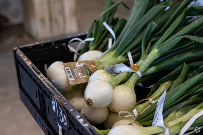 The Vidalia Onion is a one of a kind and is grown right here in town.