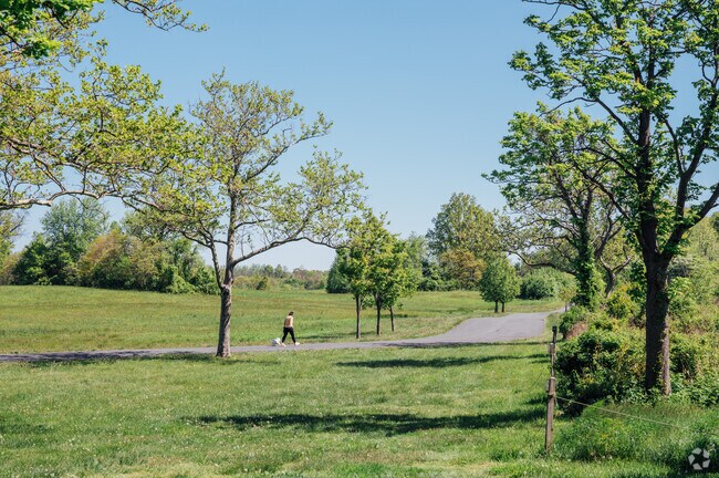 The Mount Loretto Unique Area contains hiking trails, bike paths, and gorgeous views of Raritan Bay across  nearly 250 acres!