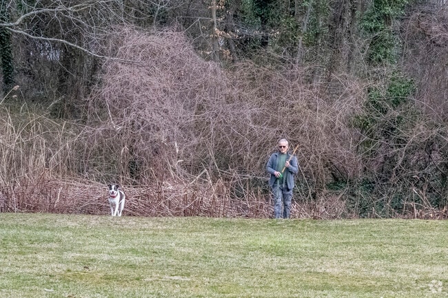 Bring your dog to the dog park in nearby Malverne to run free through an open space.