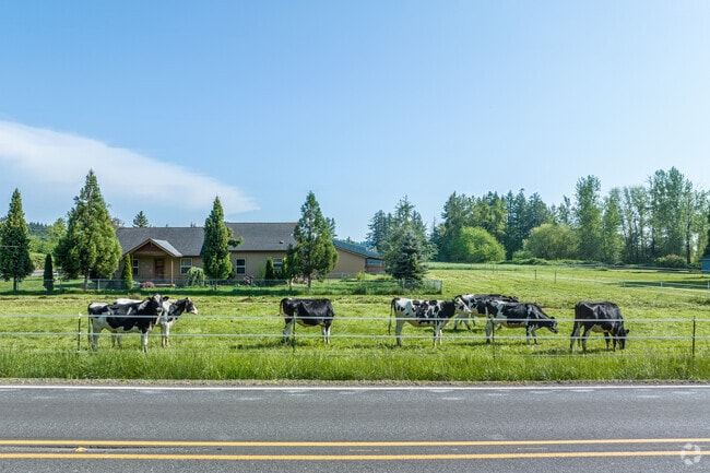 Many Farms Raise Holstein Cows in Boring, OR.