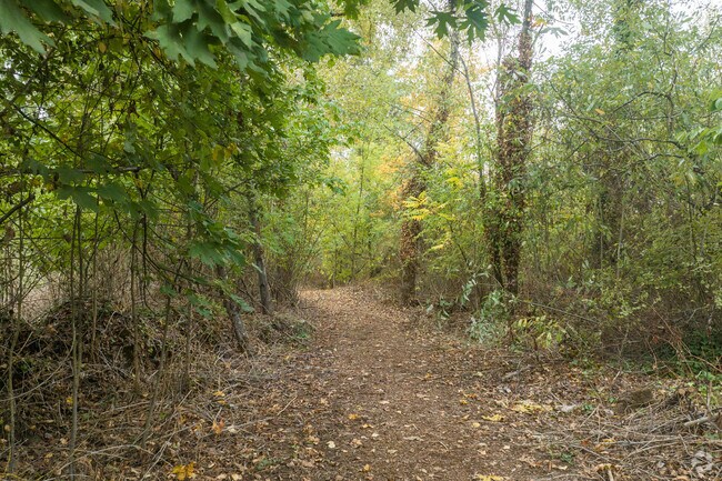 A short trail circles the little lake at Creswell's Garden Lake Park.