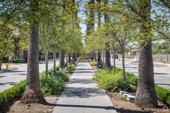 Residents can take a walk down the tree-lined streets of Rosedale.
