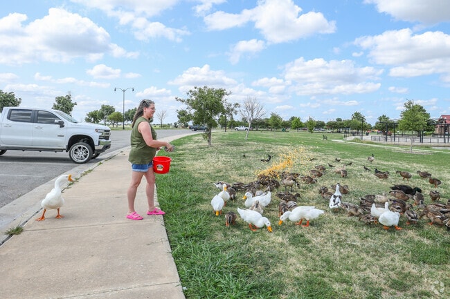 Harvest Hills West neighbors love feeding the ducks at Route 66 Park.