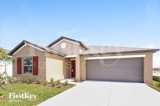 5050 White Chicory Dr, Ruskin, FL 33572