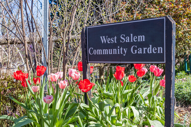 The West Salem Community Garden flourishes in full bloom.