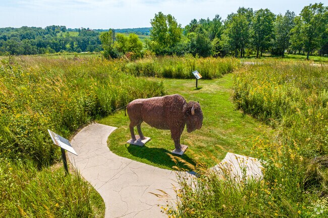 Bison used to roam the countryside around Annett Nature Center.