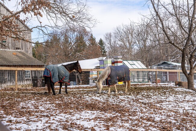 Warwick is a very rural neighborhood with many horse farms located throughout.