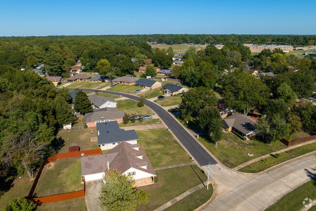 Homes on a quiet street in the neighborhood.