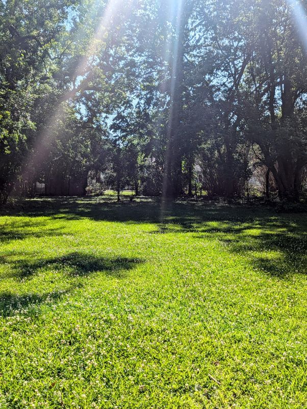 3970 N Foster Dr, Baton Rouge, LA 70805