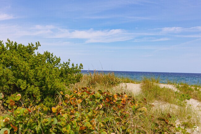 Lush beach flora framing the picturesque backdrop of Delray Beach.