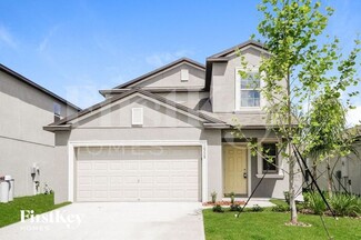 10228 Cool Waterlily Ave, Riverview, FL 33578