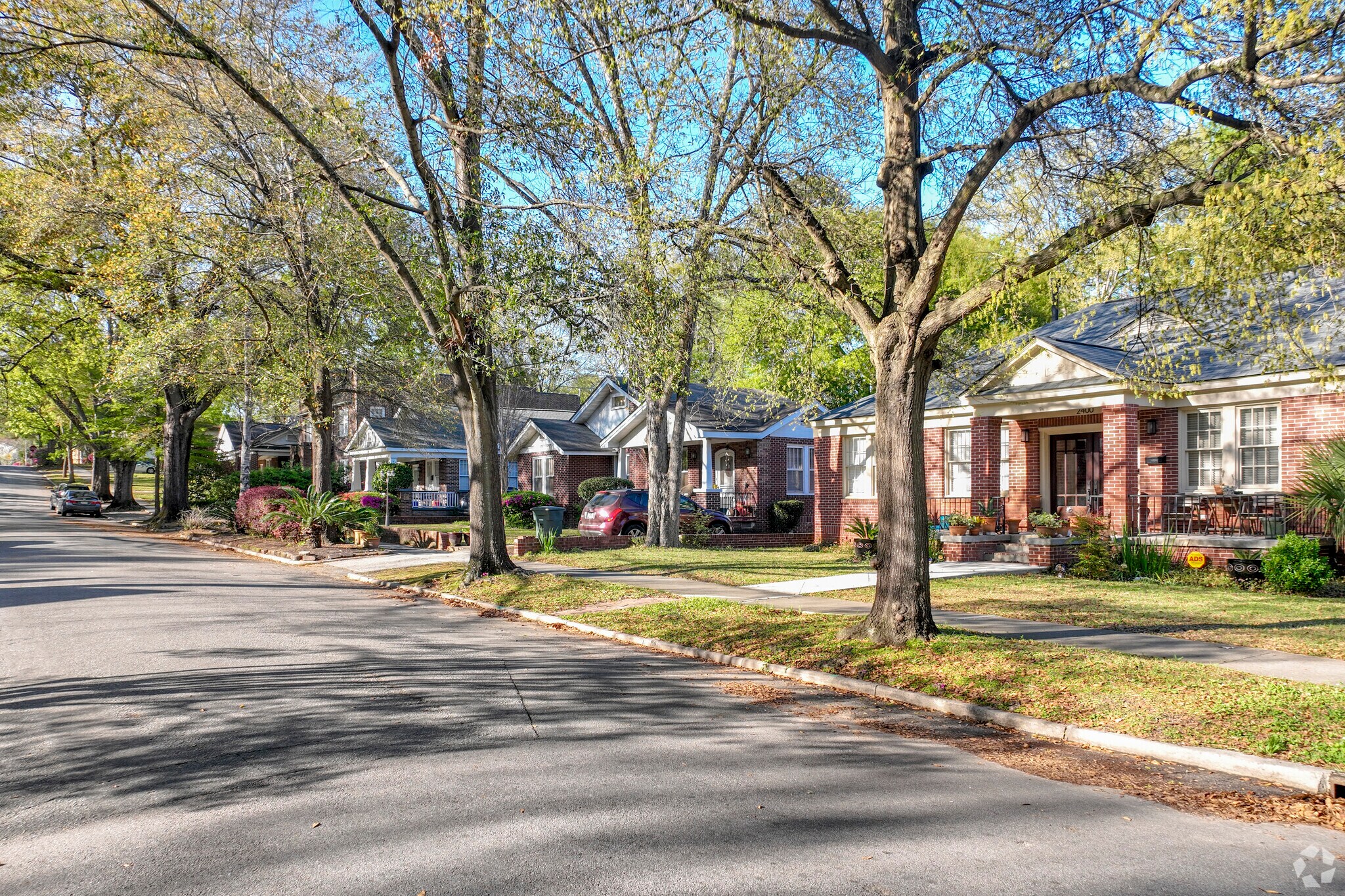 Canopies of oak trees cover the sidewalks in Cottontown.