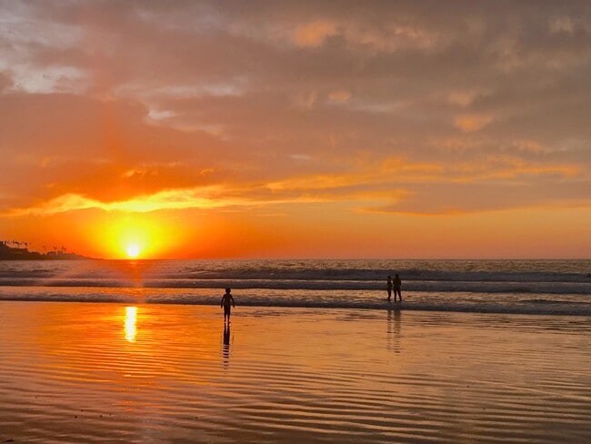 La Jolla Shores - beach view