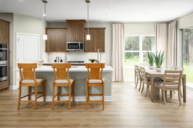 1221 Ivy Manor St, Minneola, FL 34715 - photo 3