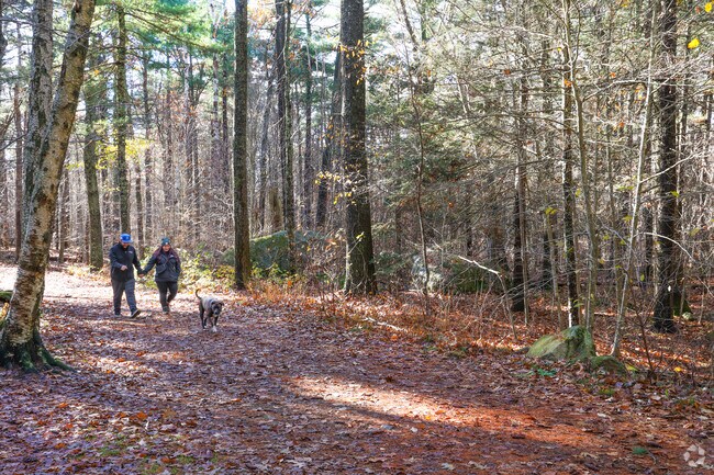 Dogs savor a good walk at Raveswood in Gloucester.