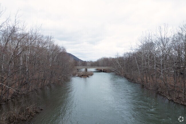 The Susquehanna River runs next to Oneonta and can quickly be accessed from Neahwa Park and beyond.