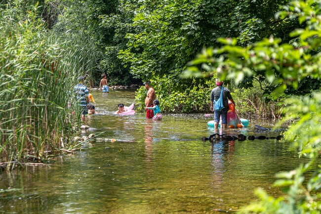 The Bark River in Delafield is a perfect place to cool off on a hot day.