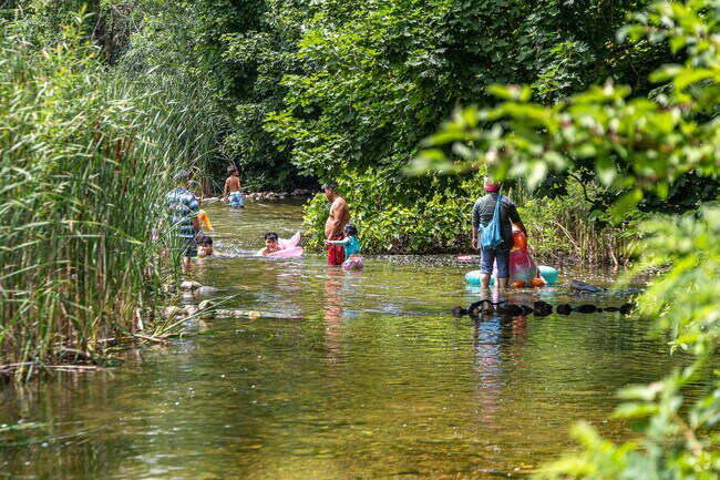 The Bark River near Wales is a perfect place to cool off on a hot day.
