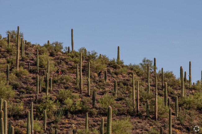 Bicyclists enjoy Westside Developments many hills filled with trails.