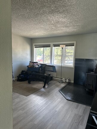 449 W 4th St Unit A, Silverthorne, CO 80498