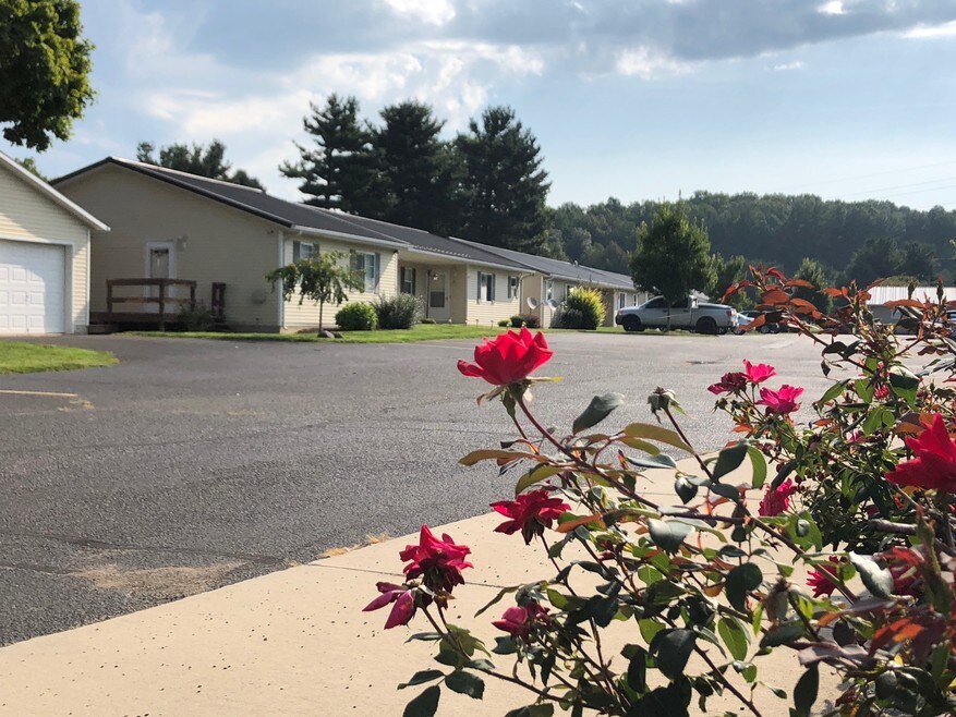 Taken during spring when roses are blooming