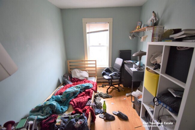 9 Warwick St, Roxbury Crossing, MA 02120 - photo 5