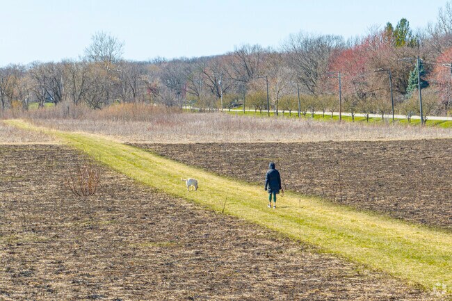 Take a long stroll at Dunham Forest Preserve in Wayne.