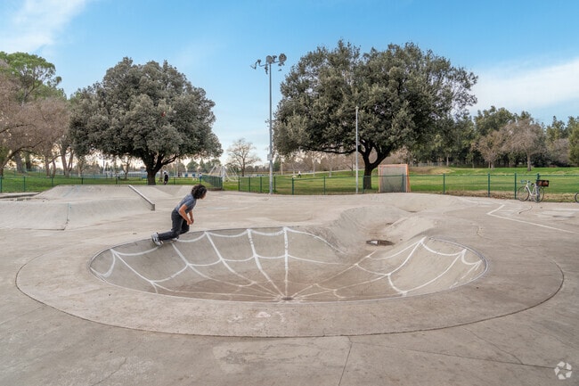Checkout the skatepark at Community Park in Central Davis.