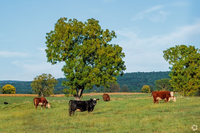 Beaver Creek is well-known for acres and acres of farmland.