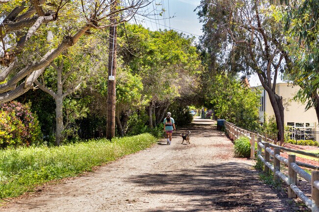 A dog runs along side its owner on the trail next to the park at Via Del Norte. This trail is throughout all of Upper Hermosa