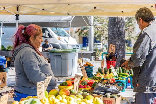 Many vendors pick straight from their gardens for the Pinellas farmers & flea market.