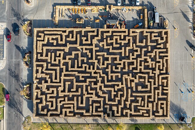 The annual Great Straw Maze is a challenging fall favorite in West Fargo.