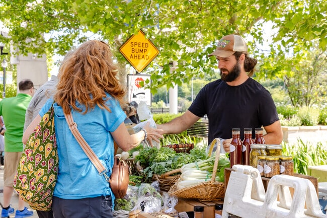 Find fresh fruits, vegetables, and more at the vibrant Downtown Elgin Market.