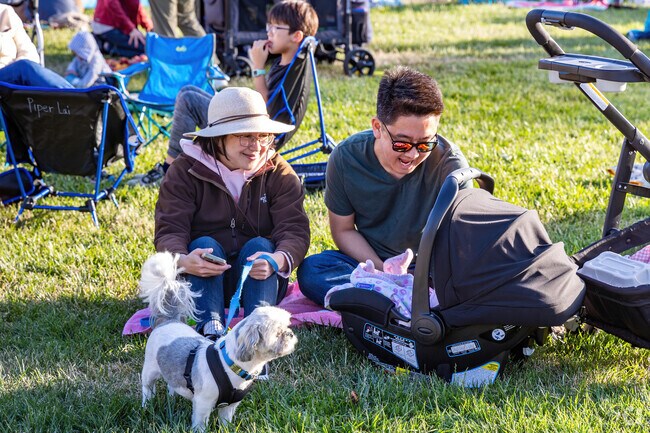 Fremont Street Eats is a foodie experience for both Cabrillo residents and their dogs.