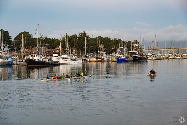 Rosewood locals might like to join a crew team for fitness and fun.