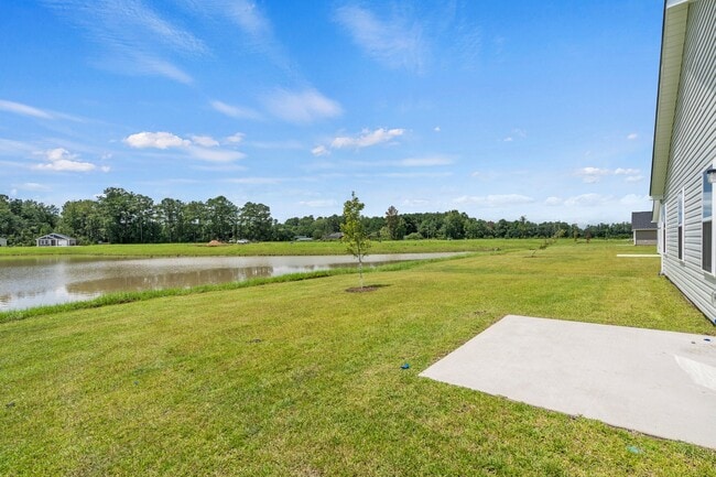 981 Cherrystone Loop, Conway, SC 29526 - photo 4