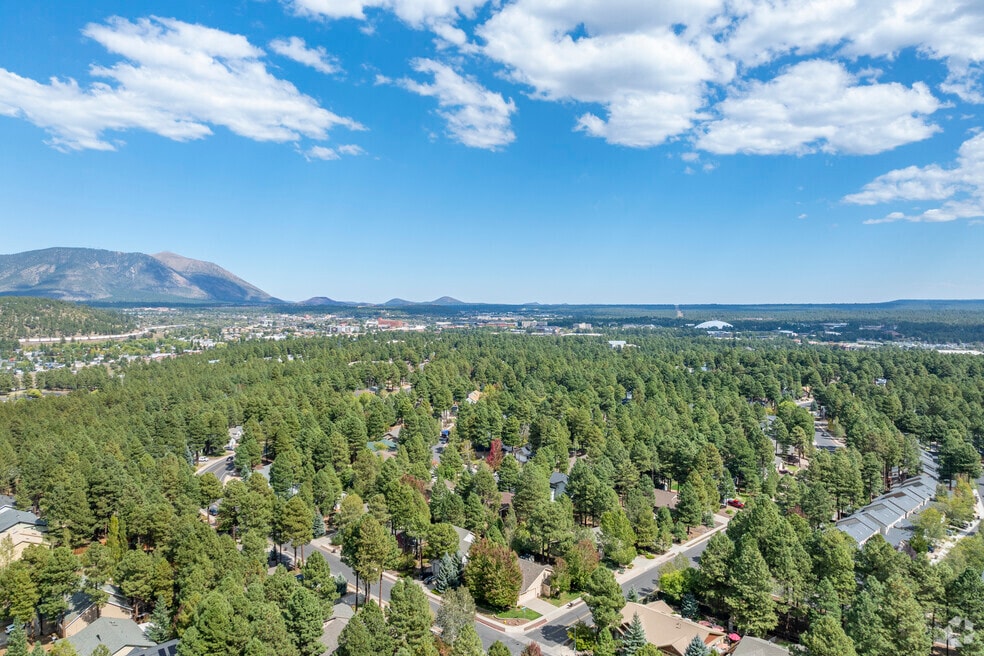 Presidio In The Pines