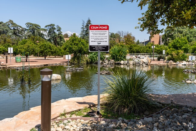 The CSUN pond in Northridge is a great place to take a study break.