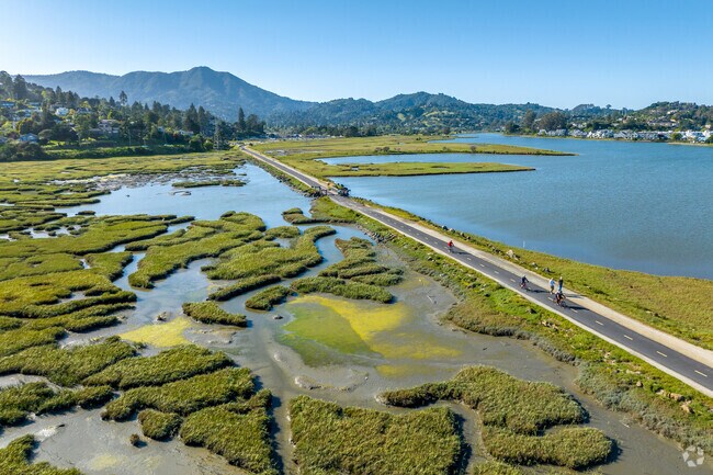 At Almonte locals exercise often and take in views of Richardson Bay.
